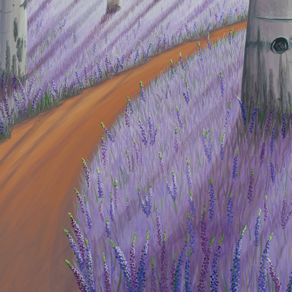 Midst Of The Garden
