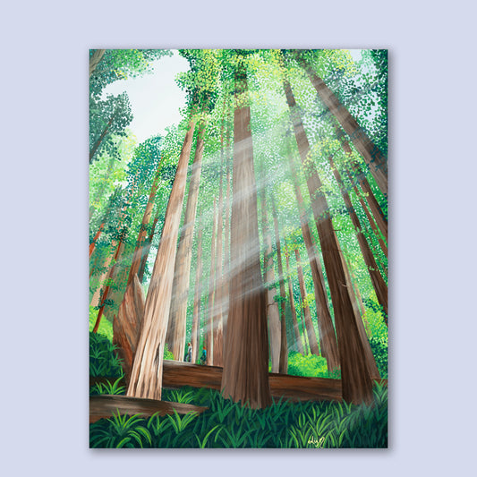 Light Breaks Through